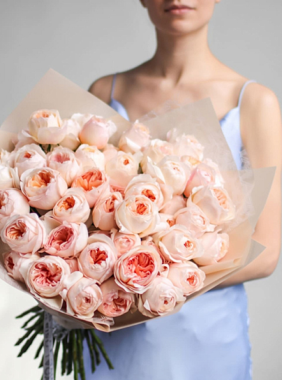 Juliet Garden Roses