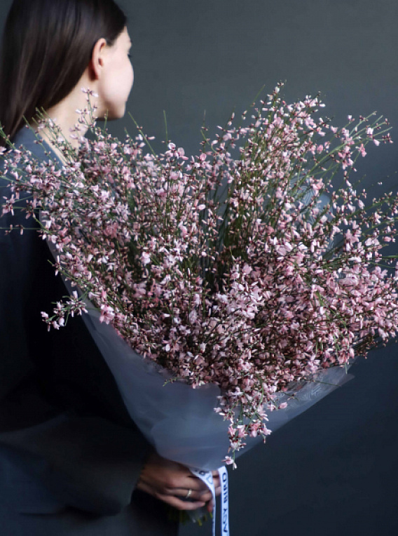 Монобукет из генисты