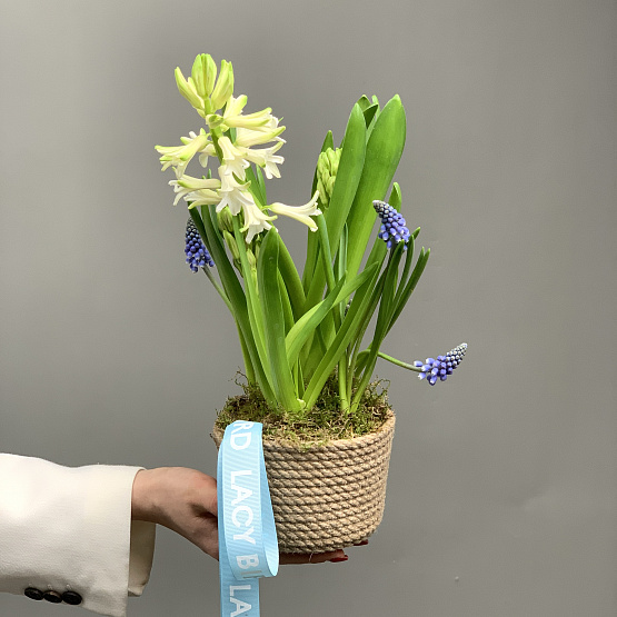 весенняя пора