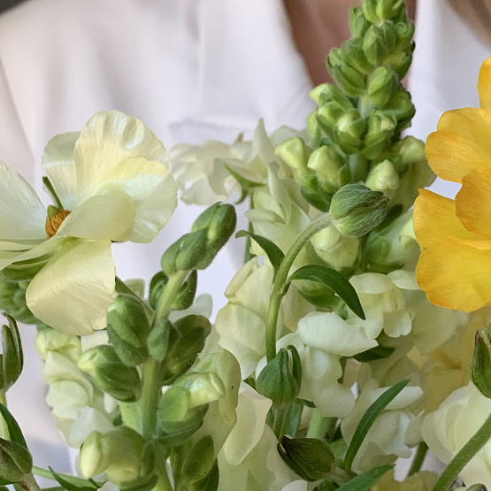 The tenderness of buttercups