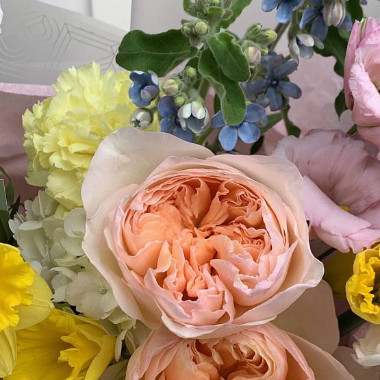 Весенняя радуга