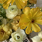 The tenderness of buttercups