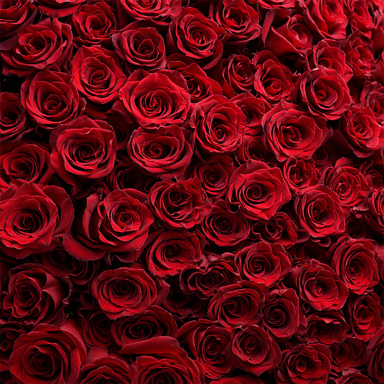 Монобукет «Сердце романтики»