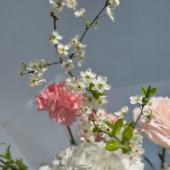 The secret of the Rose Garden