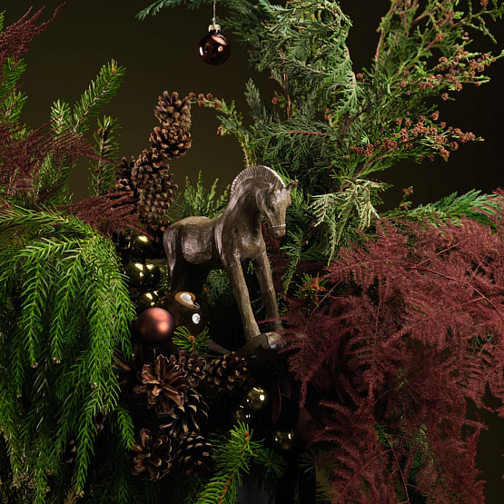 Сет №3 «Тайны леса»