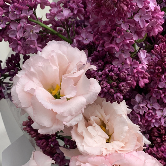 Сиреневая магия