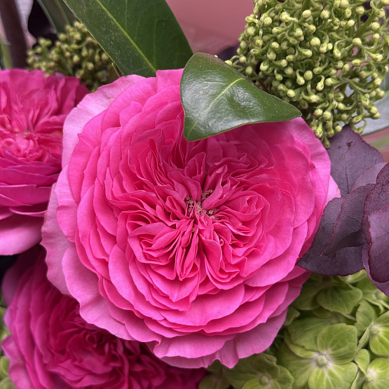 Дальний вояж