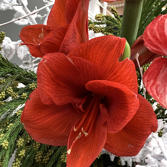 Сказки леса