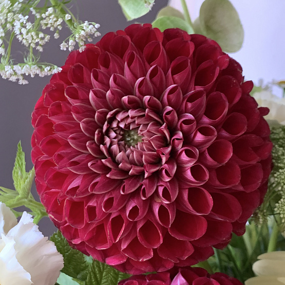 Яркая поляна 