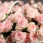 Корзина с цветами «301 роза»