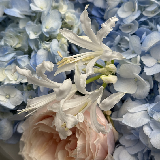 Край небосвода