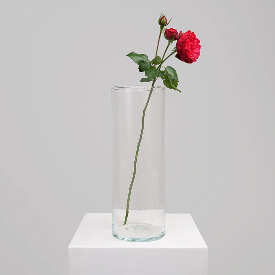 Ваза «Прозрачный баланс»