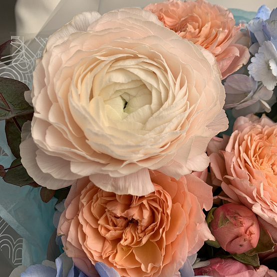 Лазурный рассвет 