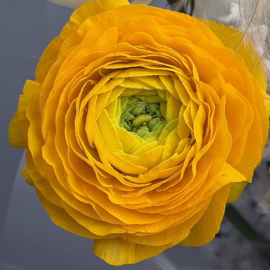 It's a wonderful day