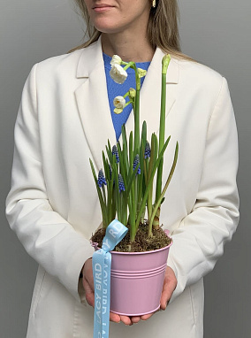 Дневной рассвет