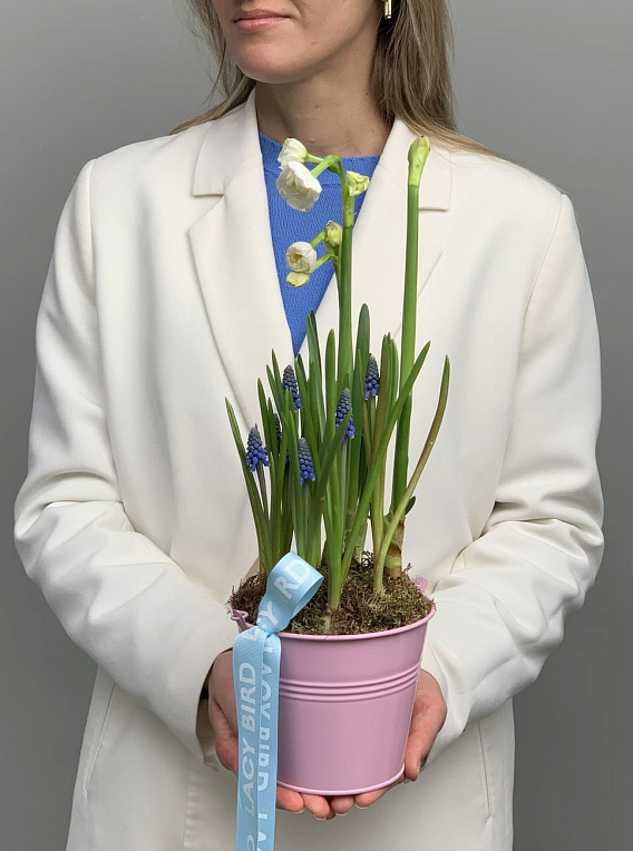 Дневной рассвет