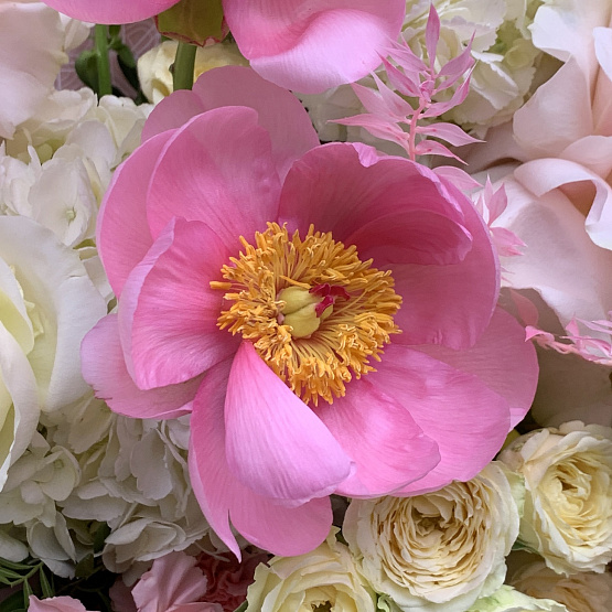 Сказочное мгновение 