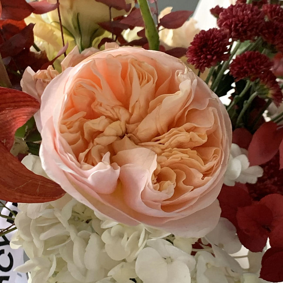 Танец цветов