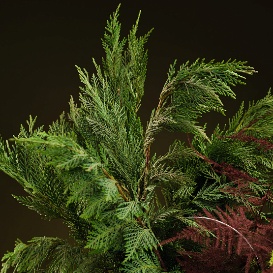 Бидон с шарами «Тайны леса» M