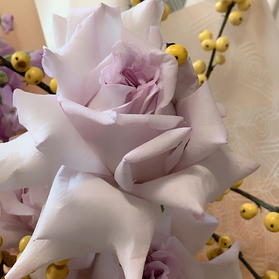 Пряная лаванда 