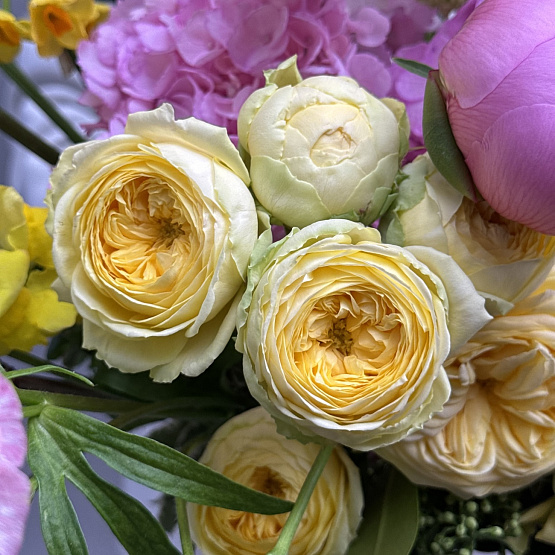 Солнечный сад