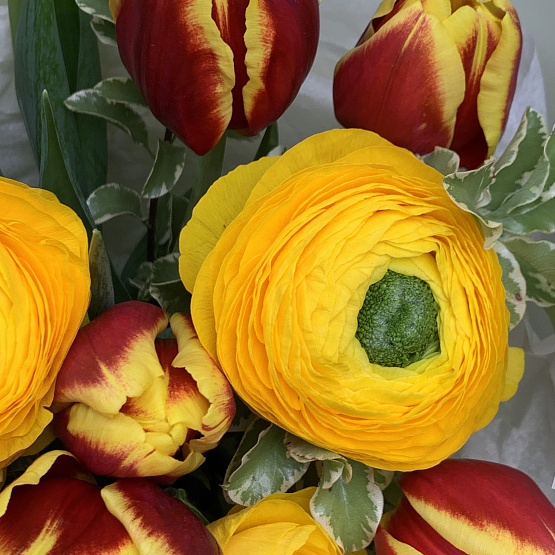 Яркий акцент 