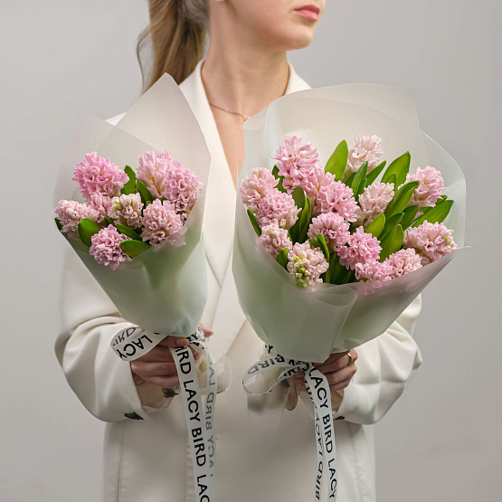 Моно гиацинтов розовых