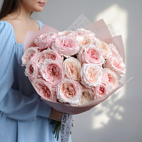 Tsumugi Garden Rose
