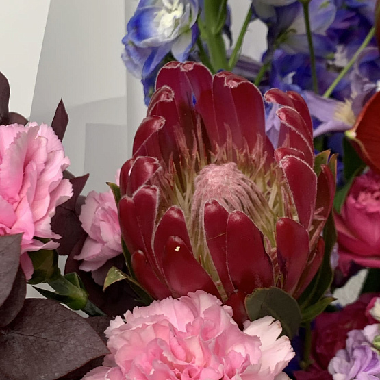 Тени Версаля