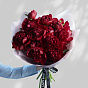 Пионы «Red Charm»