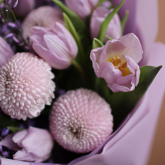 Сиреневый Туман