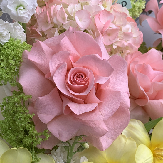 Момент весны 