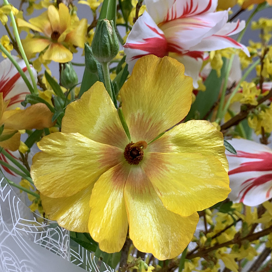 Солнечный перелив