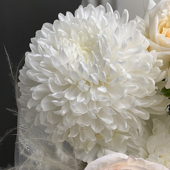 Улыбка утра