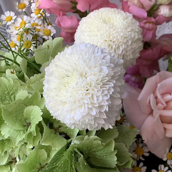 A summer fairy tale