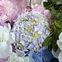 Авторский букет «Свежесть утра»