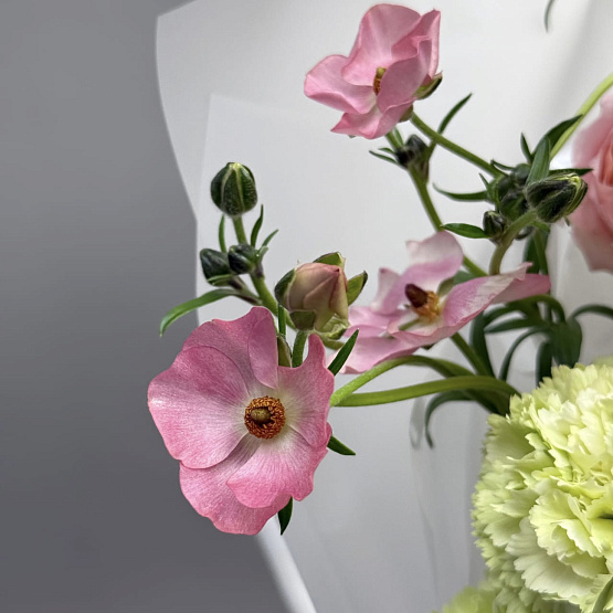 Сад фантазий 