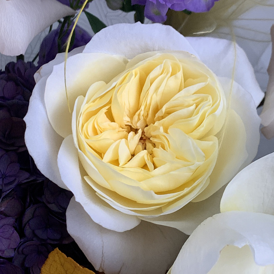 A mysterious evening