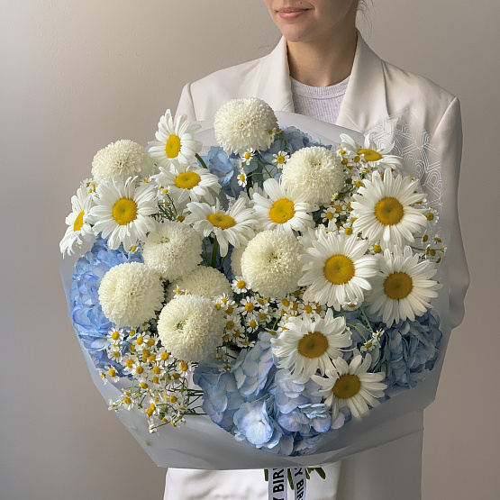 Небесное поле