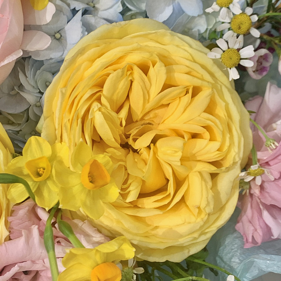 The triumph of color