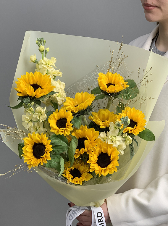 The moment of the sun