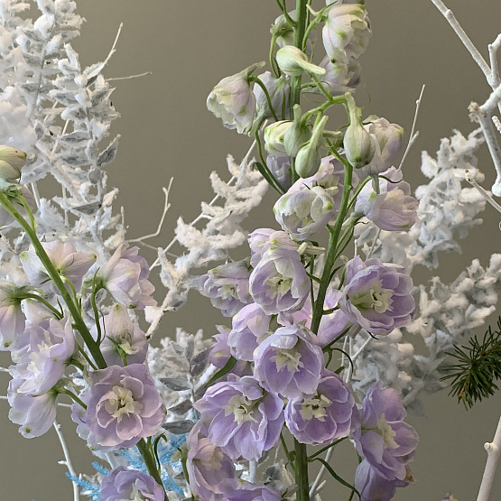 Звонкая вьюга