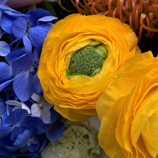 Лазурные тропики