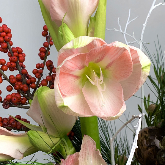 Пламенный лёд