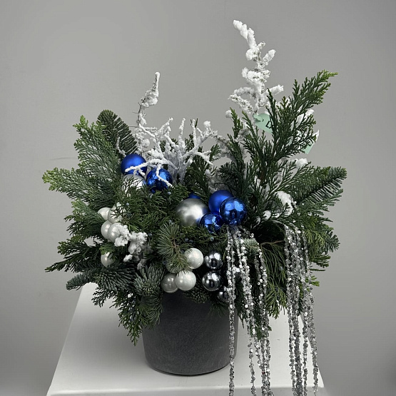 Морозная черника