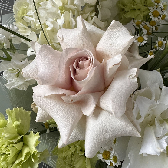 Природное очарование 