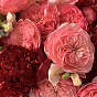 A noble blush