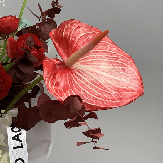 Заснеженные чувства