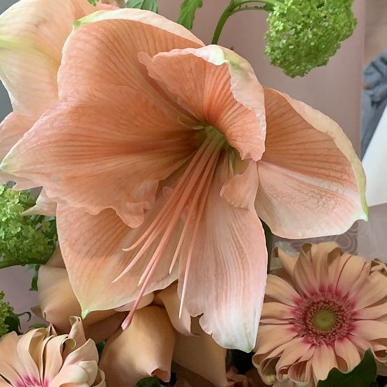 Абрикосовый сад