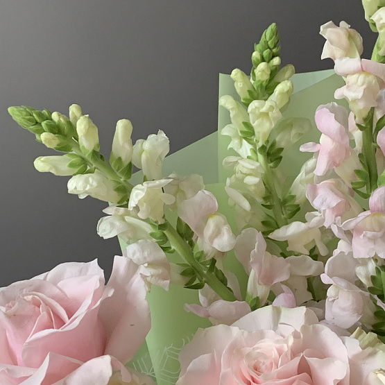 The palette of Spring